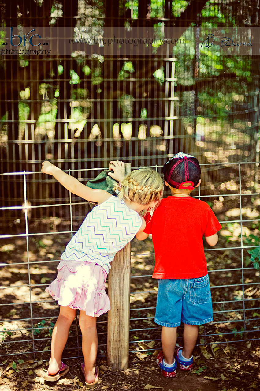 Little River Zoo Little River Zoo
