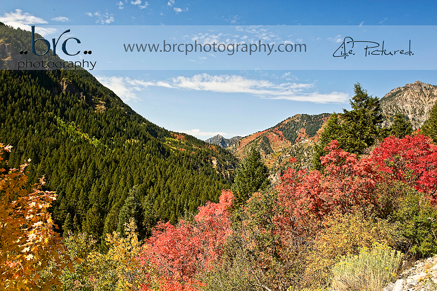 Utah