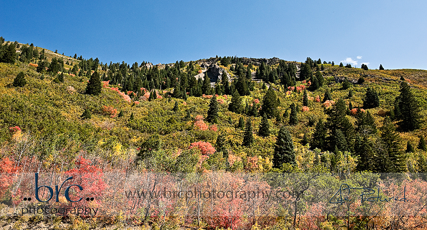 Utah