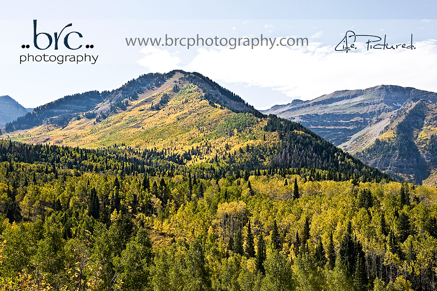 Utah