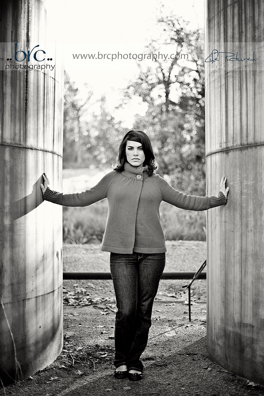 love of light and photography love of light and photography
