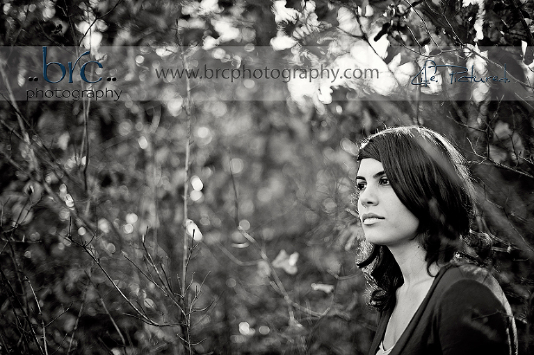 love of light and photography