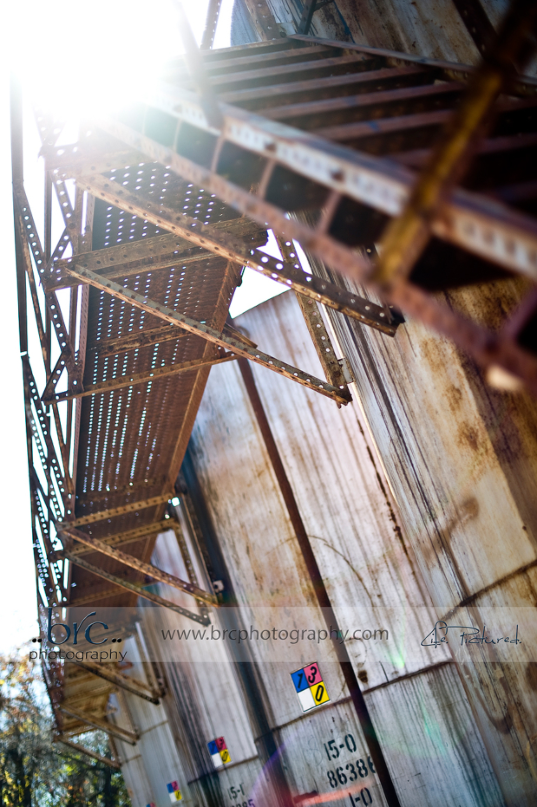 love of light and photography