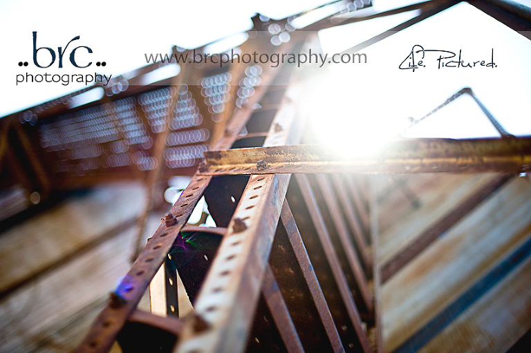 love of light and photography