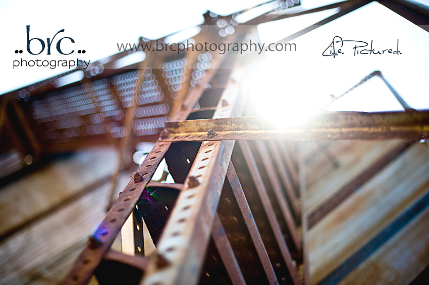 love of light and photography love of light and photography