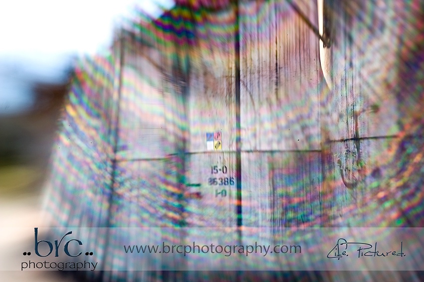 love of light and photography love of light and photography