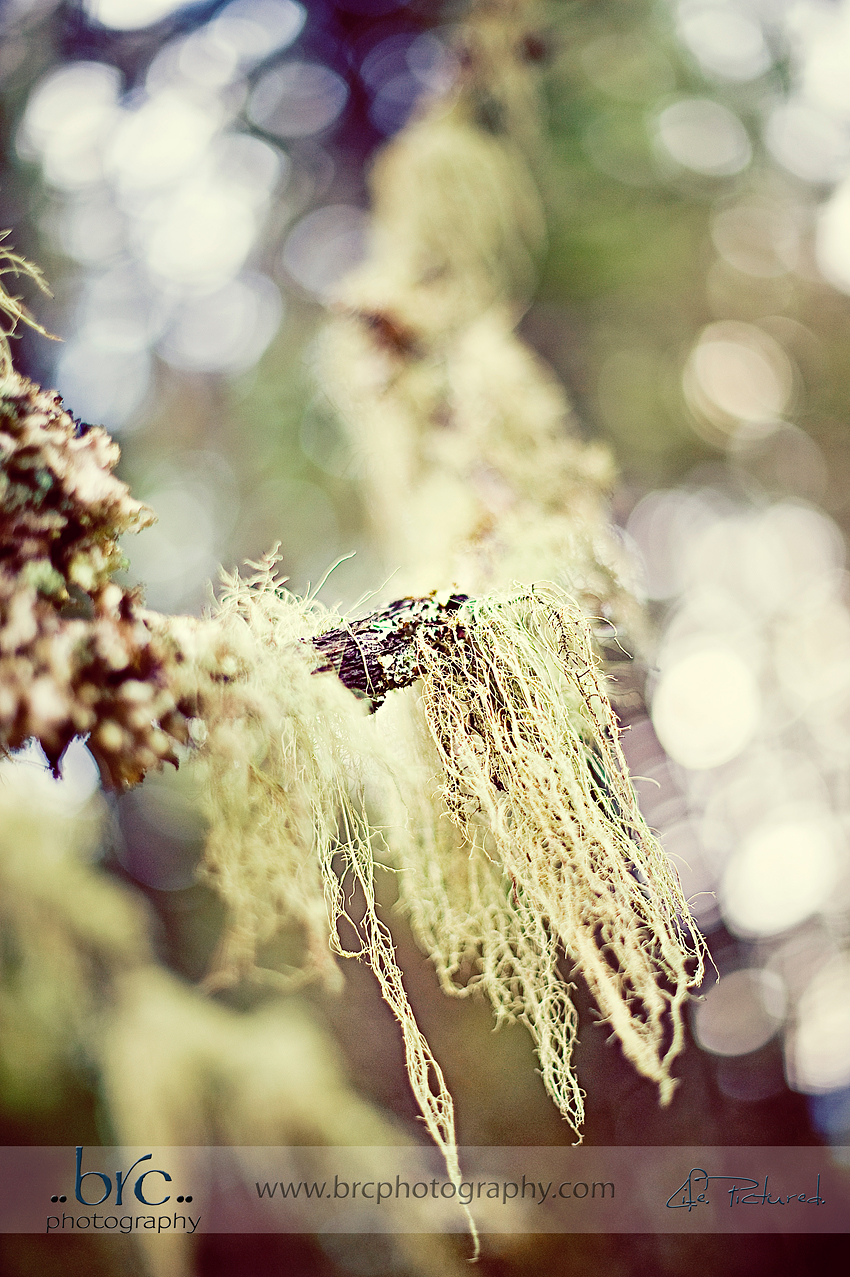 Hidden Treasures