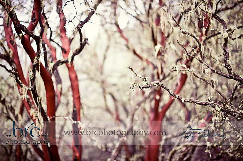 Hidden Treasures