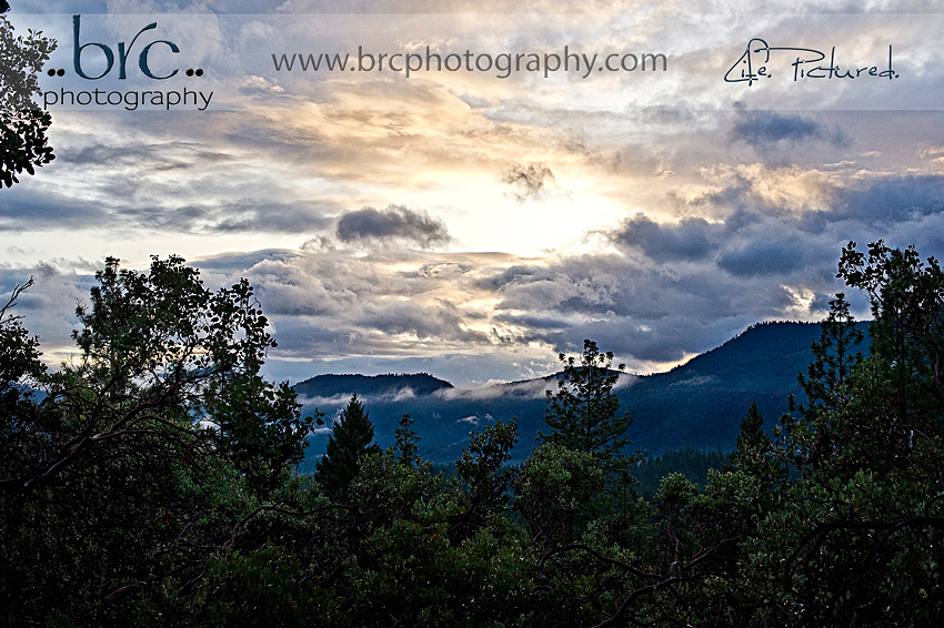 Hidden Treasures