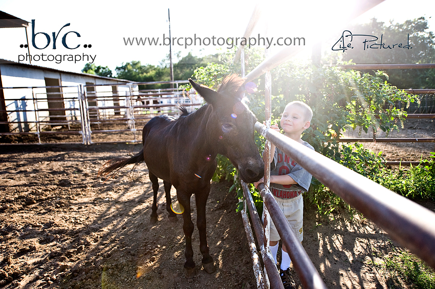 LDEP horse rescue