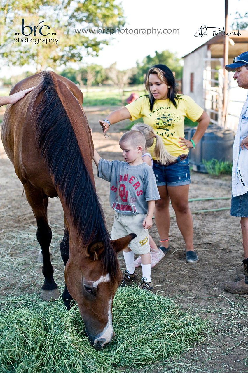 LDEP horse rescue