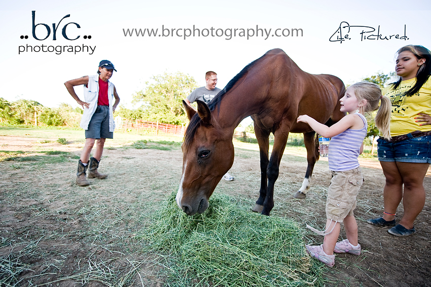 LDEP horse rescue