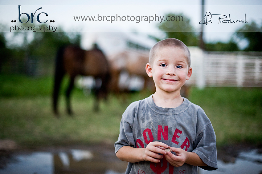 LDEP horse rescue