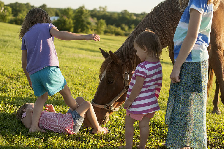 Summer Fun 2014