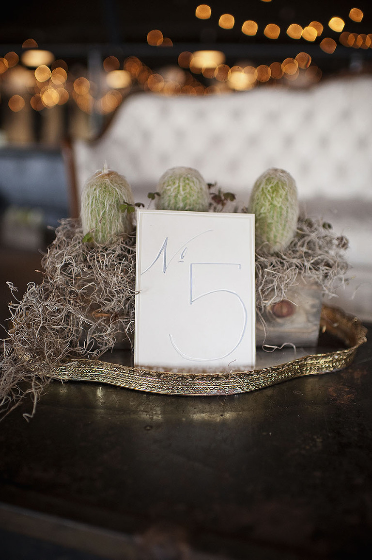 101 Mentoring - Styled Shoot